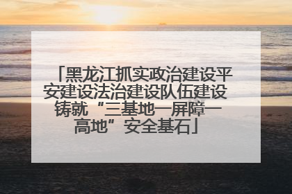 黑龙江抓实政治建设平安建设法治建设队伍建设 铸就“三基地一屏障一高地”安全基石
