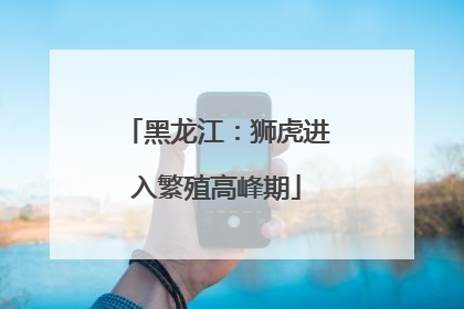 黑龙江：狮虎进入繁殖高峰期