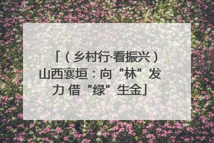 （乡村行·看振兴）山西襄垣：向“林”发力 借“绿”生金
