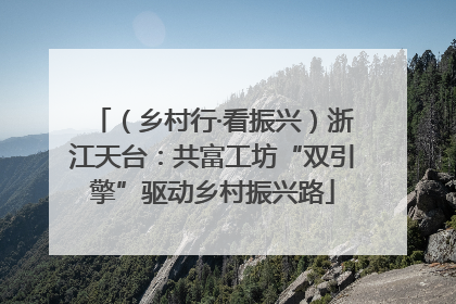 （乡村行·看振兴）浙江天台：共富工坊“双引擎”驱动乡村振兴路