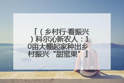 （乡村行·看振兴）科尔沁新农人：10亩大棚起家种出乡村振兴“甜蜜果”