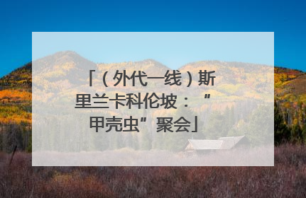 （外代一线）斯里兰卡科伦坡：“甲壳虫”聚会