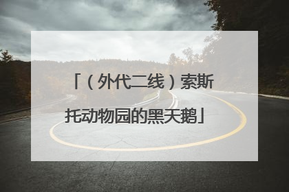 （外代二线）索斯托动物园的黑天鹅