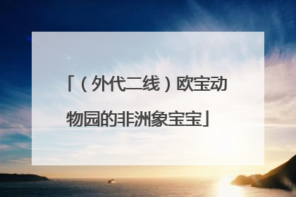 （外代二线）欧宝动物园的非洲象宝宝