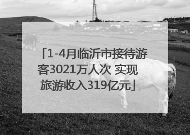 1-4月临沂市接待游客3021万人次 实现旅游收入319亿元