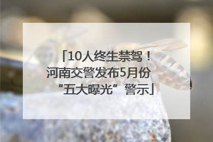 10人终生禁驾！河南交警发布5月份“五大曝光”警示