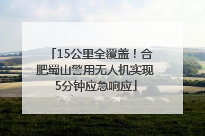 15公里全覆盖！合肥蜀山警用无人机实现5分钟应急响应