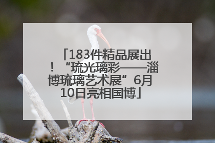183件精品展出！“琉光璃彩——淄博琉璃艺术展”6月10日亮相国博