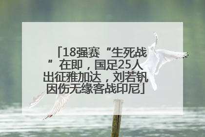 18强赛“生死战”在即，国足25人出征雅加达，刘若钒因伤无缘客战印尼