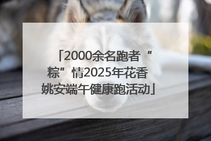 2000余名跑者“粽”情2025年花香姚安端午健康跑活动