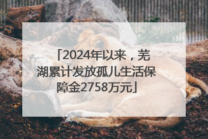 2024年以来，芜湖累计发放孤儿生活保障金2758万元