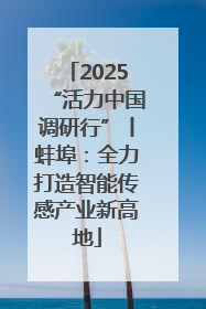 2025“活力中国调研行”丨蚌埠：全力打造智能传感产业新高地
