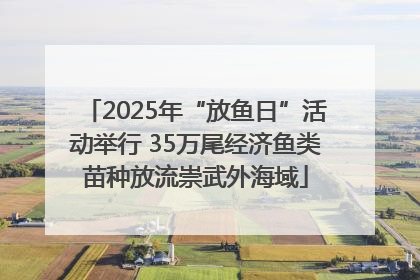 2025年“放鱼日”活动举行 35万尾经济鱼类苗种放流崇武外海域