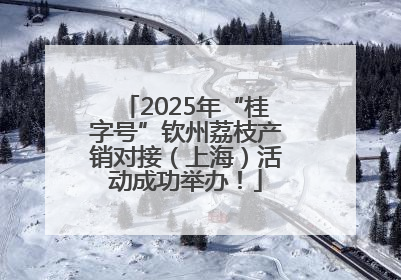 2025年“桂字号”钦州荔枝产销对接（上海）活动成功举办！