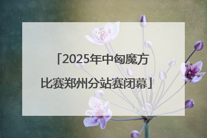 2025年中匈魔方比赛郑州分站赛闭幕