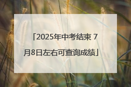 2025年中考结束 7月8日左右可查询成绩