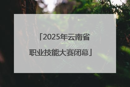 2025年云南省职业技能大赛闭幕
