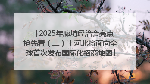 2025年廊坊经洽会亮点抢先看（二）丨河北将面向全球首次发布国际化招商地图