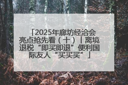2025年廊坊经洽会亮点抢先看（十）丨离境退税“即买即退”便利国际友人“买买买”