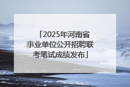 2025年河南省事业单位公开招聘联考笔试成绩发布