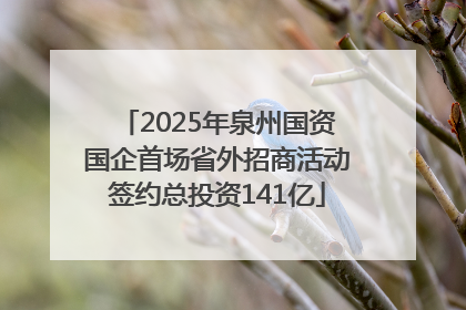 2025年泉州国资国企首场省外招商活动签约总投资141亿