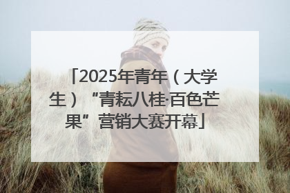 2025年青年（大学生）“青耘八桂·百色芒果”营销大赛开幕