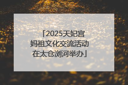 2025天妃宫妈祖文化交流活动在太仓浏河举办