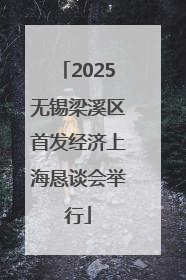 2025无锡梁溪区首发经济上海恳谈会举行