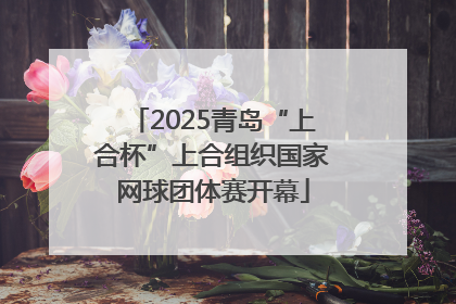 2025青岛“上合杯”上合组织国家网球团体赛开幕