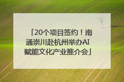20个项目签约！南通崇川赴杭州举办AI赋能文化产业推介会