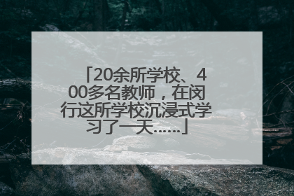 20余所学校、400多名教师，在闵行这所学校沉浸式学习了一天……