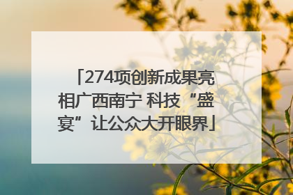 274项创新成果亮相广西南宁 科技“盛宴”让公众大开眼界