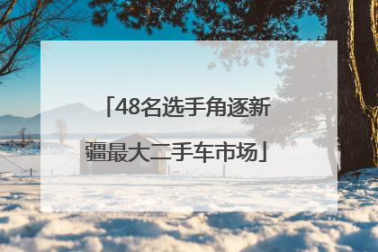 48名选手角逐新疆最大二手车市场