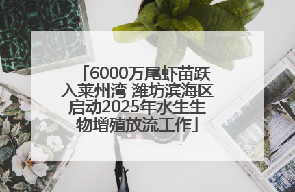 6000万尾虾苗跃入莱州湾 潍坊滨海区启动2025年水生生物增殖放流工作