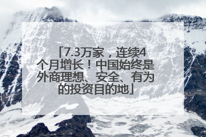 7.3万家，连续4个月增长！中国始终是外商理想、安全、有为的投资目的地