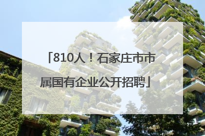810人！石家庄市市属国有企业公开招聘