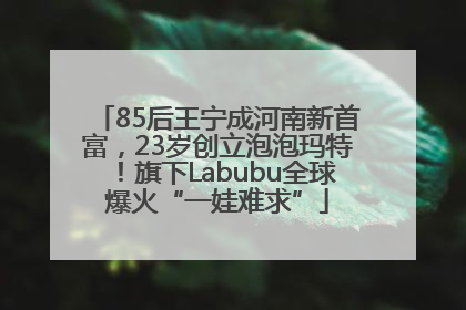 85后王宁成河南新首富，23岁创立泡泡玛特！旗下Labubu全球爆火“一娃难求”