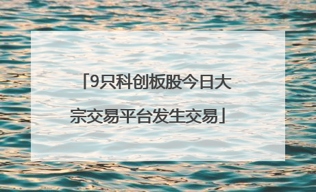 9只科创板股今日大宗交易平台发生交易