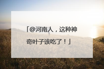 @河南人，这种神奇叶子该吃了！