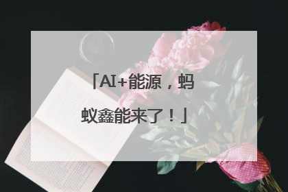AI+能源，蚂蚁鑫能来了！