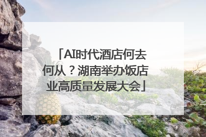 AI时代酒店何去何从？湖南举办饭店业高质量发展大会