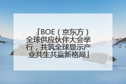BOE（京东方）全球供应伙伴大会举行，共筑全球显示产业共生共赢新格局
