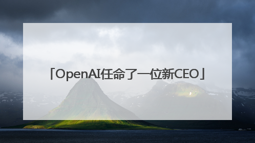 OpenAI任命了一位新CEO